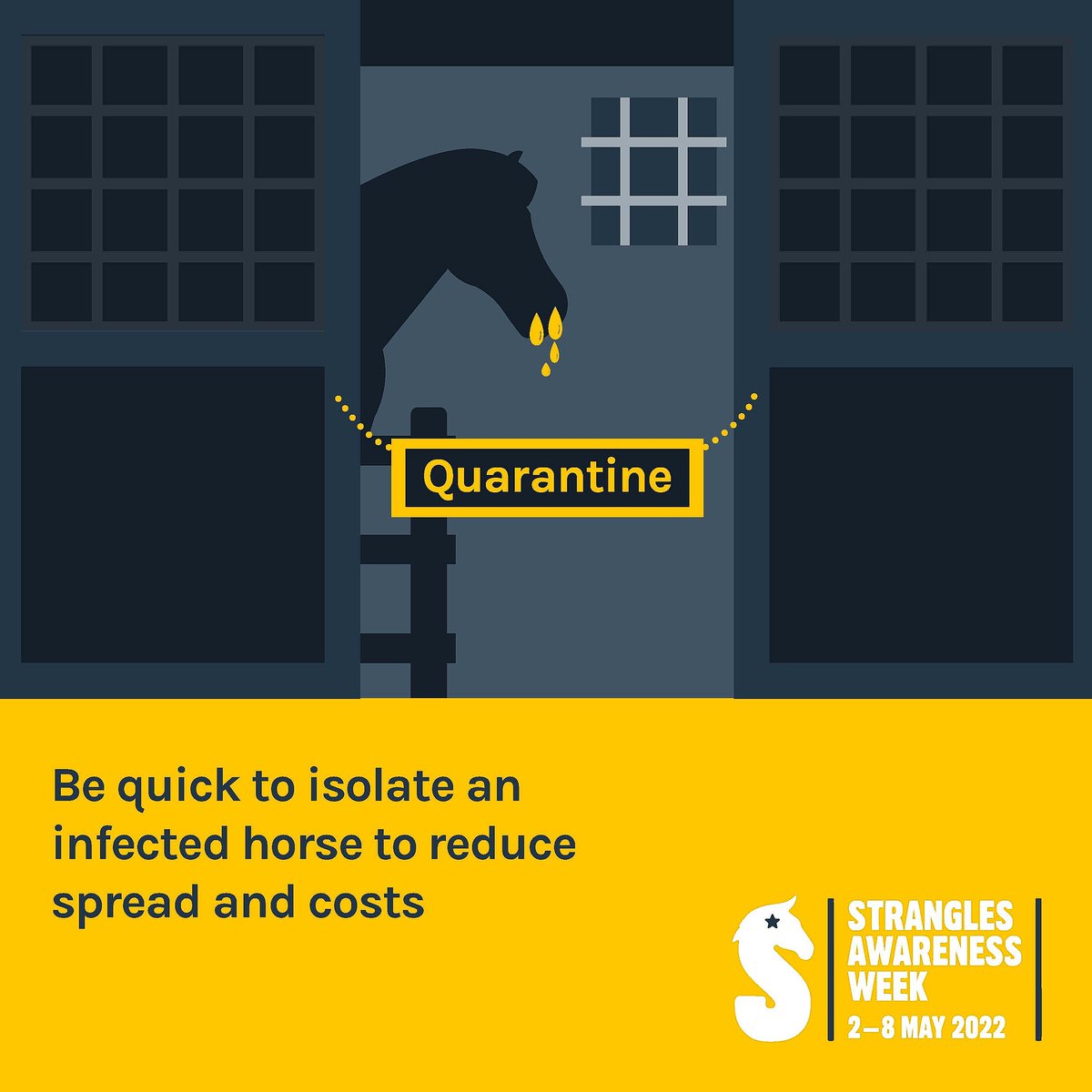 Strangles Awareness Week tweet media