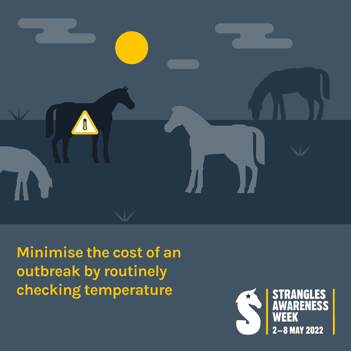 Strangles Awareness Week tweet media