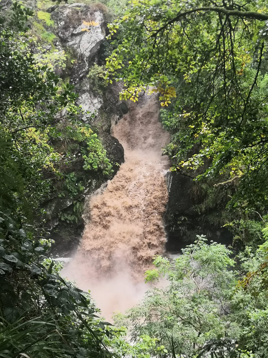 Derry Smart Tour App tweet media