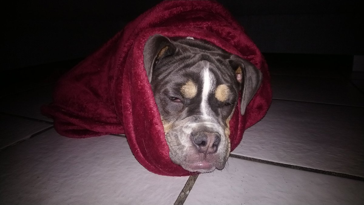 andy___80's tweet image. Goedemorgen ☕