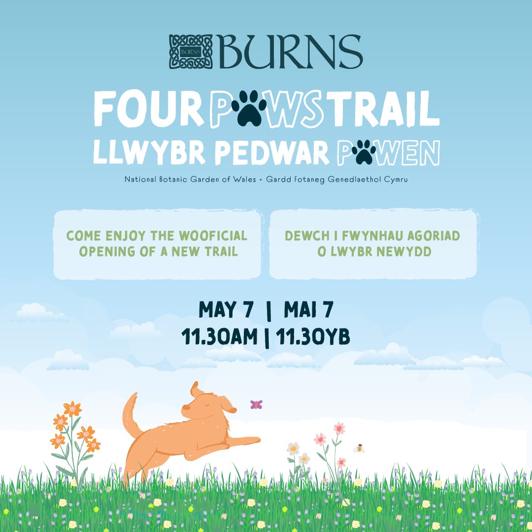 Come enjoy the Wooficial opening of the new Burns Four Paws Trail this Saturday 7th May at the National Botanic Garden of Wales!
Opening ceremony &amp; guided tour of the trail at 11.30am with Veterinary Surgeon and Burns founder John Burns.
Plus lots on between 10am and 4pm.