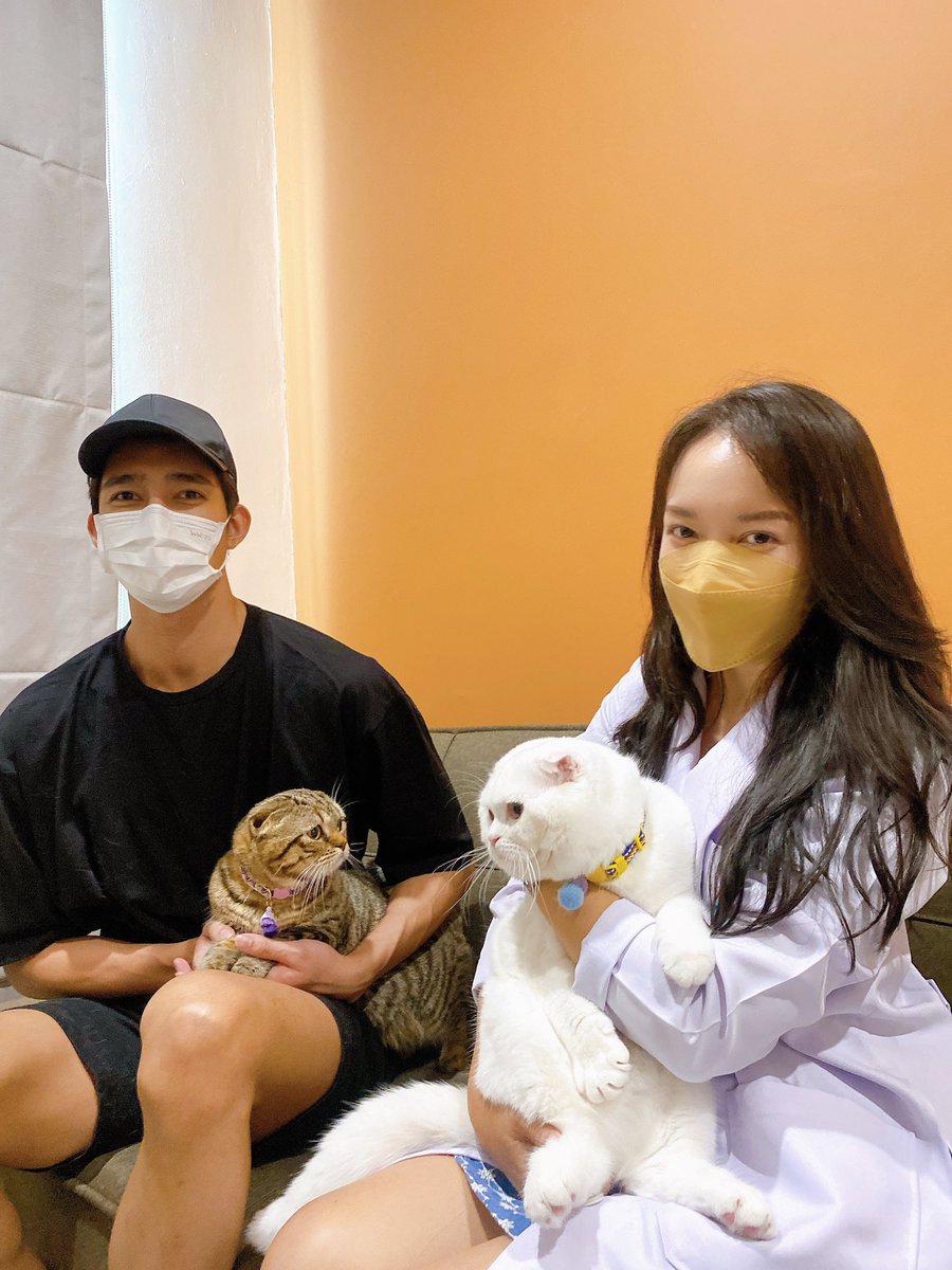 PetThonglor's tweet photo. ยินดีกับปะป๊า @Earth_Pirapat 🤎
ได้เป็นทั้งคุณตาและคุณปู่ในเวลาเดียวกัน หลังจากนี้จะไม่เหงาแล้ว
ขอบคุณ คุณเอิร์ท พิรพัฒน์ ที่ไว้วางใจ ให้ โรงพยาบาลสัตว์ทองหล่อ ดูแลเจ้าตัวเล็กมาโดยตลอด 🤎🐱🐱🐱🐱🐱🐱
#TheEarthFamily  🥰
#ThonglorpetHospital https://t.co/QYnTn9jZn6