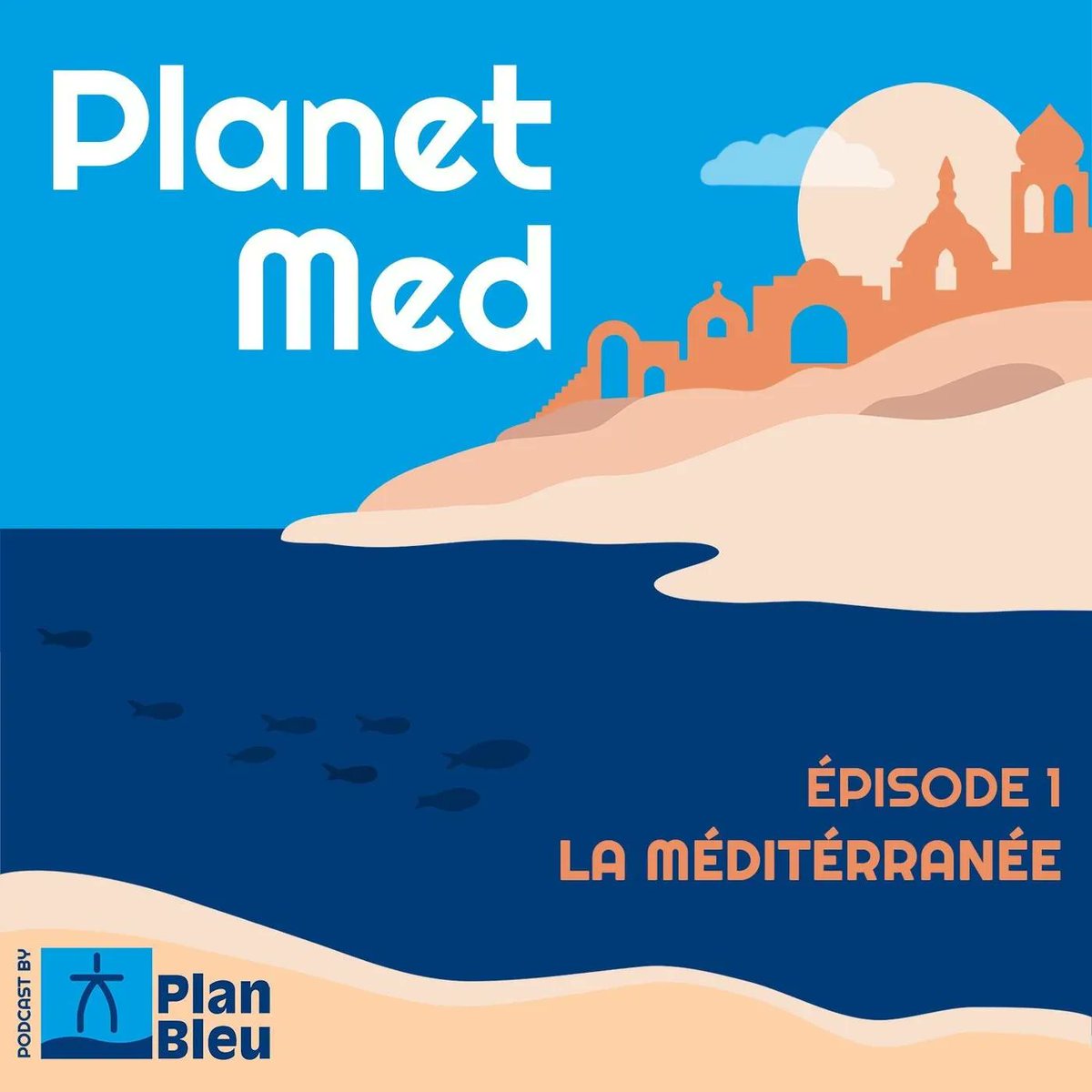 Plan Bleu tweet media