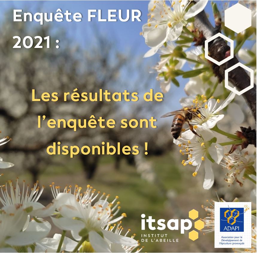 Les résultats de l'enquête 2021 sur les prestations de #pollinisation sont disponibles !
🐝Les #apiculteurs de SUD-PACA ont pu s’exprimer sur ce sujet à partir d’un questionnaire en ligne.
👉Pour en savoir plus RDV sur notre blog : blog-itsap.fr/prestations-de…