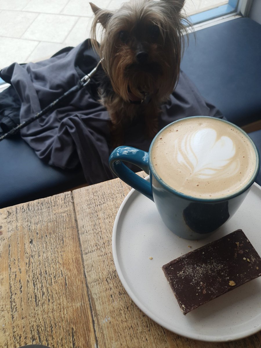 Oscars_Morley's tweet photo. We'll be here from 11am today serving you coffee or hair of the dog...#BYODog https://t.co/F9CsjcY0kR