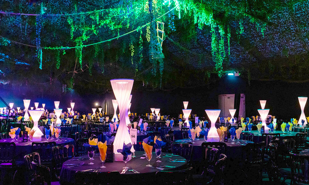 Barleylands welcomes you to Electric Jungle this December. Enter an exotic and exhilarating world where neon meet Eastern intrigue...

Three course meal, world class entertainment, DJ and disco. 
Book your #Christmasparty tickets here: bit.ly/38oBXaW

#Essex #Billericay