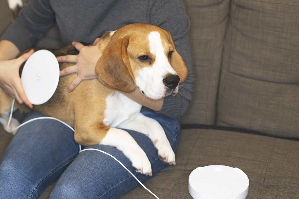VXPetMagic's tweet photo. WHAT PROBLEMS CAN VX PET MAGIC BE USED FOR?
 
The VX Pet Magic can aid in the treatment of a variety of animal health issues and return them to their pre-existing condition three times faster. You will observe changes within days of using it. https://t.co/fPokJF9QC0
