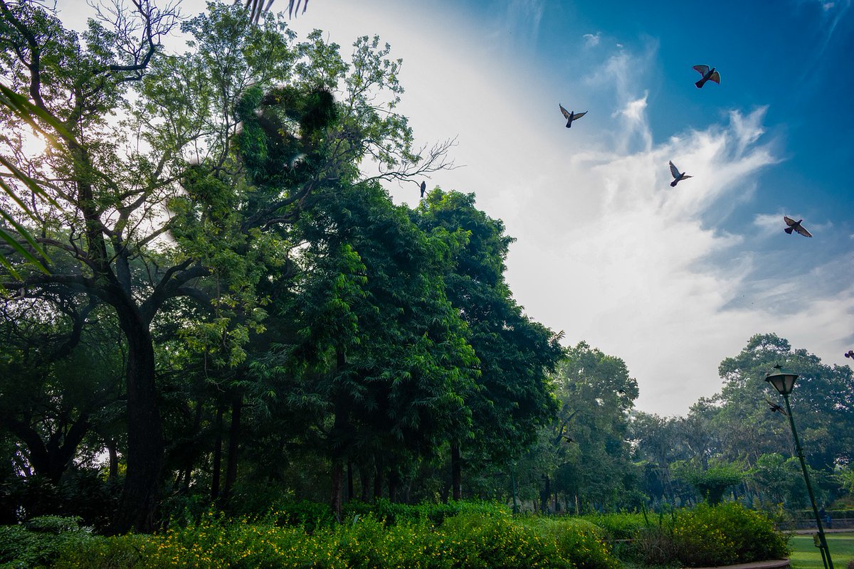 Tüm müslumanların,
Ramazan Bayramı mübarek olsun..

Tağutlarsız, zülümsüz bayramlara..
#RamazanBayramı