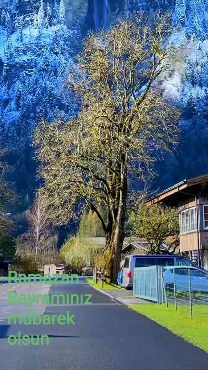 Mustafa serin (@mustafa43288079) on Twitter photo 