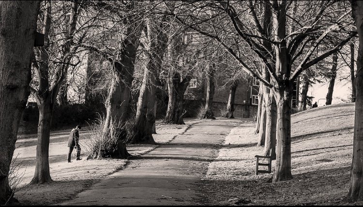 A photo a day for peace and harmony “Uphill Struggle” I took this photo in the local park. I had been quite ill and in hospital with ongoing care after I got home. This was on one of my first walks due recovery.