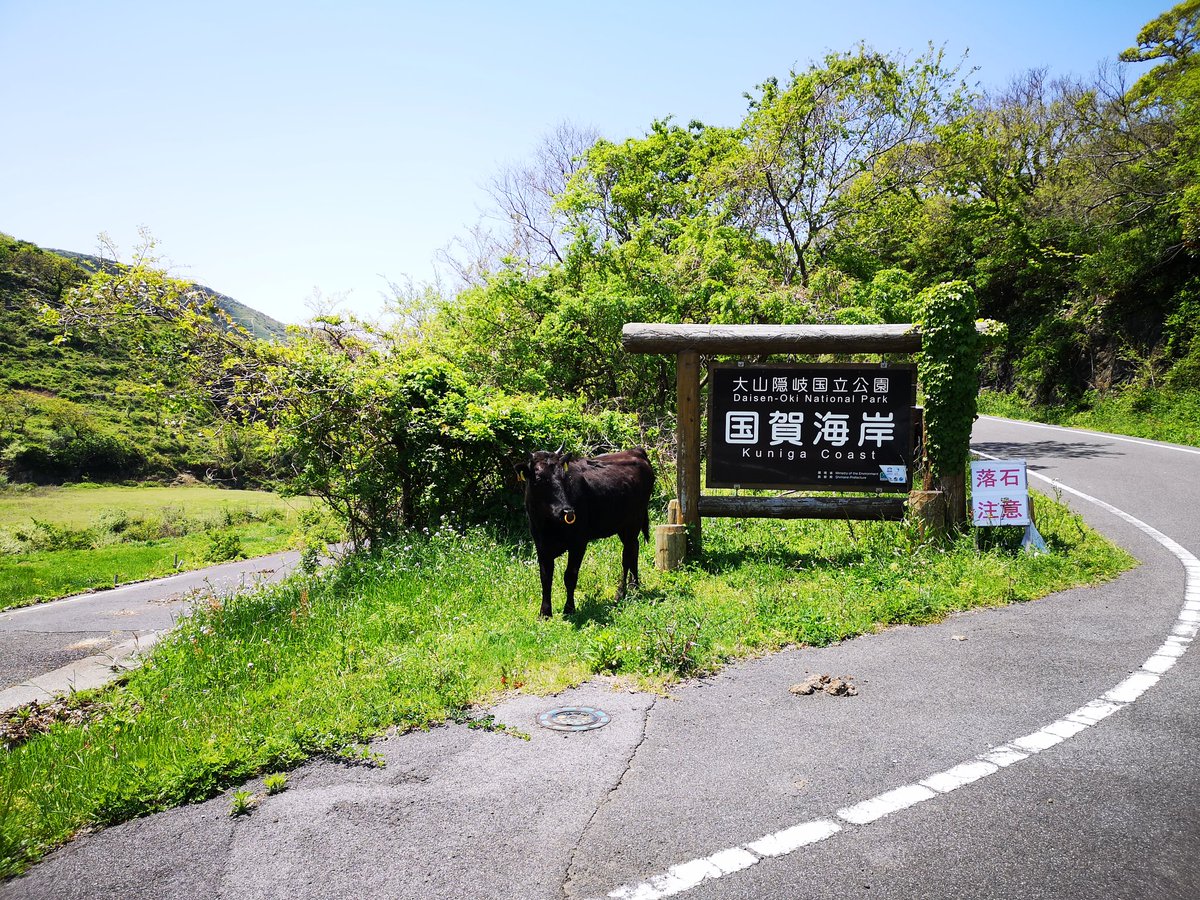 sha_enen's tweet photo. 隠岐へ流されてきました(´ゝ∀・｀)ﾉｼ
絶景！絶景！絶景！！な素晴らしい島ですね(*>∀<*)また行きたいー！ https://t.co/xfqhrgeilP