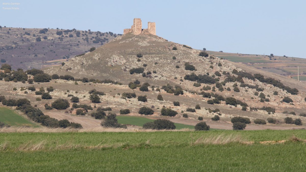CIGALLOCANTA's tweet photo. Imágenes del castillo de #Santed
Los castillos de #Santed , #Berrueco, #Tornos antiguamente fueron de gran importancia en la defensa de las tierras aragonesas Actualmente son interesantes miradores de la Cuenca de la #lagunaDeGallocanta
Buen y feliz día para todos
2 de mayo https://t.co/u53TReZOxA