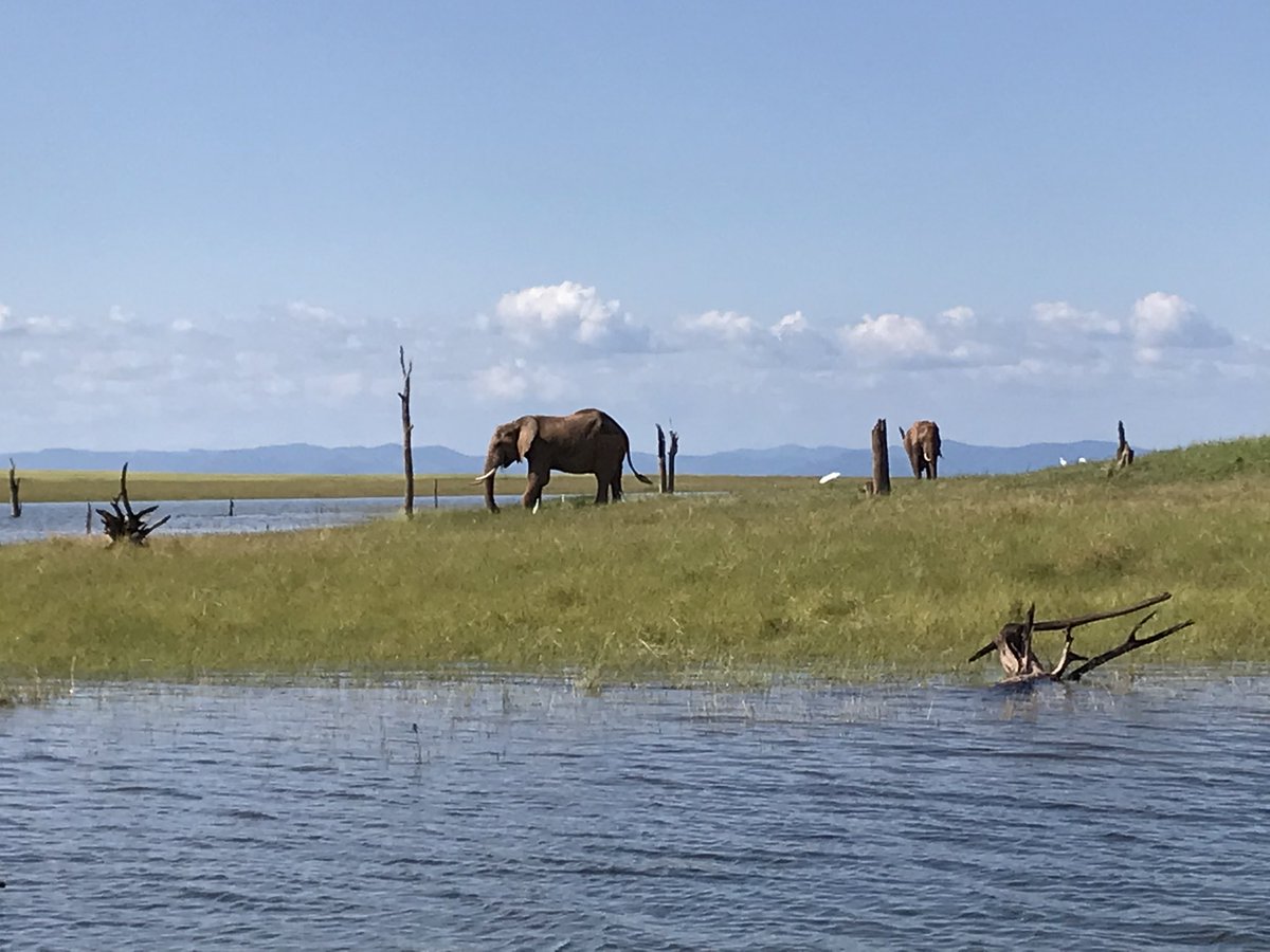 marlene_zw's tweet image. Seeing all the pictures from #PyConUS2022 makes me feel sad that I missed it🥲 

Took the past few days off the grid without any internet connection or pythons in sight this year but looking forward to being in person with the community next year💕🐍