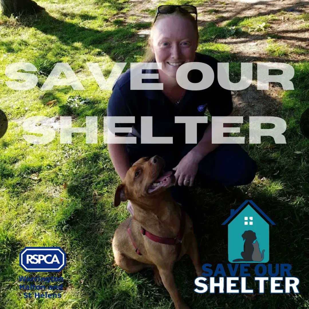 It's a new month, start it off by making a difference to mistreated cats and dogs: buff.ly/3LKyMbU

We see hundreds of animals every year who have nowhere else to go. Thanks to generous gifts, through lockdowns we survived. Now, the shelter is running out of funds.