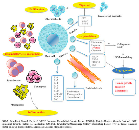 JCM MDPI (@jcm_mdpi) on Twitter photo #mdpijcm
🤗Check out the High-citation #Review: #MastCells, #microRNAs and Others: The Role of Translational Research on #ColorectalCancer in the Forthcoming Era of #PrecisionMedicine
🧐Full Text: mdpi.com/2077-0383/9/9/…
<a href="/ColorectalDisC1/">@ColorectalDisCenter</a>
<a href="/ArcPicciariello/">Arcangelo Picciariello</a>
<a href="/Gae_Gallo/">Gaetano Gallo</a>
<a href="/unibait/">Uniba.it Aldo Moro</a> #mdpijcm
🤗Check out the High-citation #Review: #MastCells, #microRNAs and Others: The Role of Translational Research on #ColorectalCancer in the Forthcoming Era of #PrecisionMedicine
🧐Full Text: mdpi.com/2077-0383/9/9/…
<a href="/ColorectalDisC1/">@ColorectalDisCenter</a>
<a href="/ArcPicciariello/">Arcangelo Picciariello</a>
<a href="/Gae_Gallo/">Gaetano Gallo</a>
<a href="/unibait/">Uniba.it Aldo Moro</a>