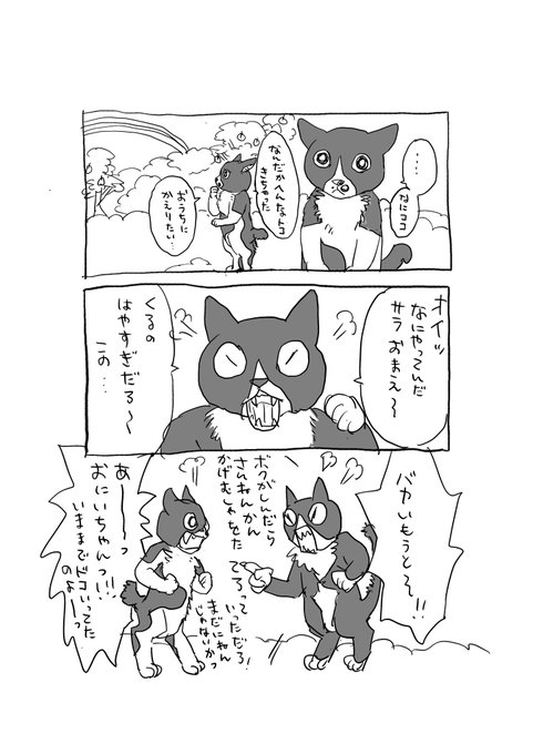 ねこの天国でジャッキーに怒られてるだろうなあ。仲良くおいしいものでも食べて暮らしてね。毎日毎日いっぱいお花が降ると思うけどごめんよ。🌷🌹🌻🌼 