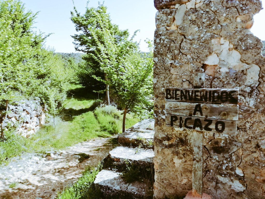 RicardoDoming's tweet photo. Picazo, #LaAlcarria, #Guadalajara. Ruta a pueblo semi abandonado, entre gamos, lagartos ocelados y quejigos | Ruta a paese semi-abbandonato, tra caprioli, lucertole ocellate e quercie lusitane | Route to semi-abandoned village, among deers, alligators and oaks https://t.co/eO2rK2oBrB