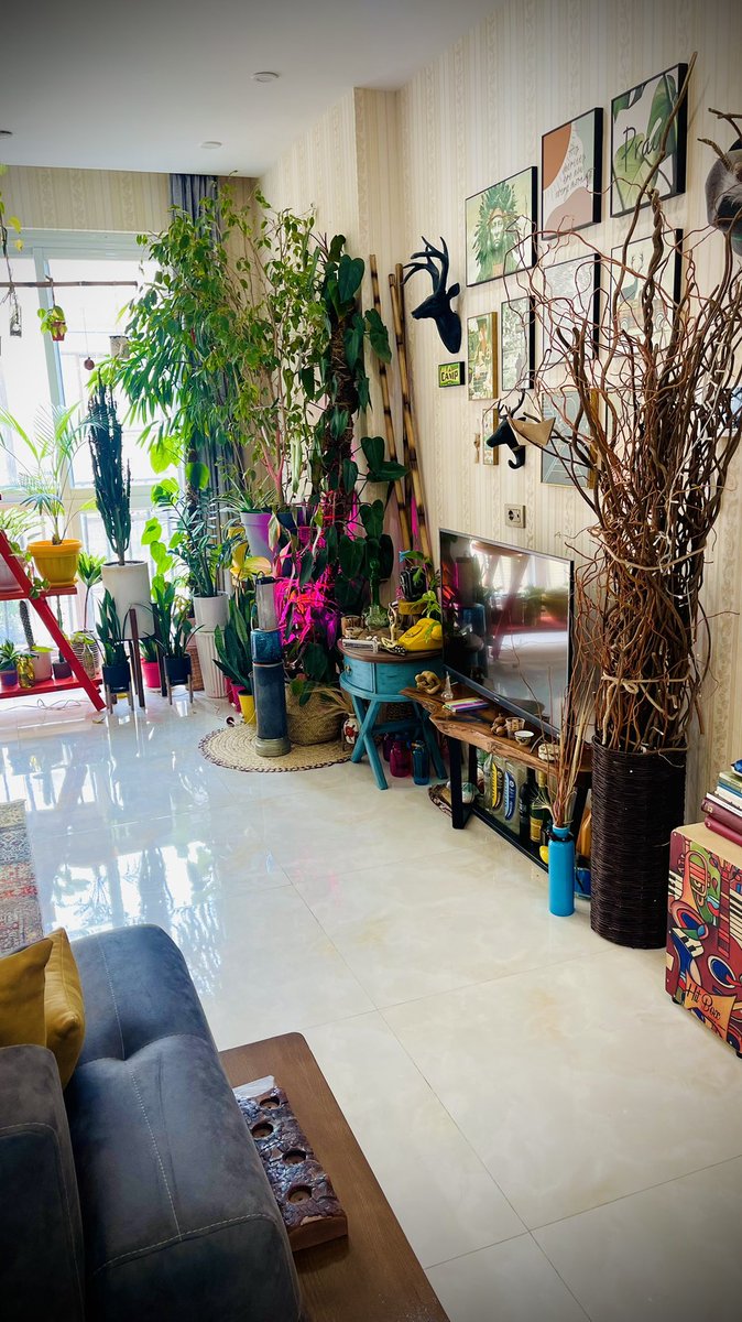 بیا و دلتنگی های تاریک مرا سنجاق کن به نور