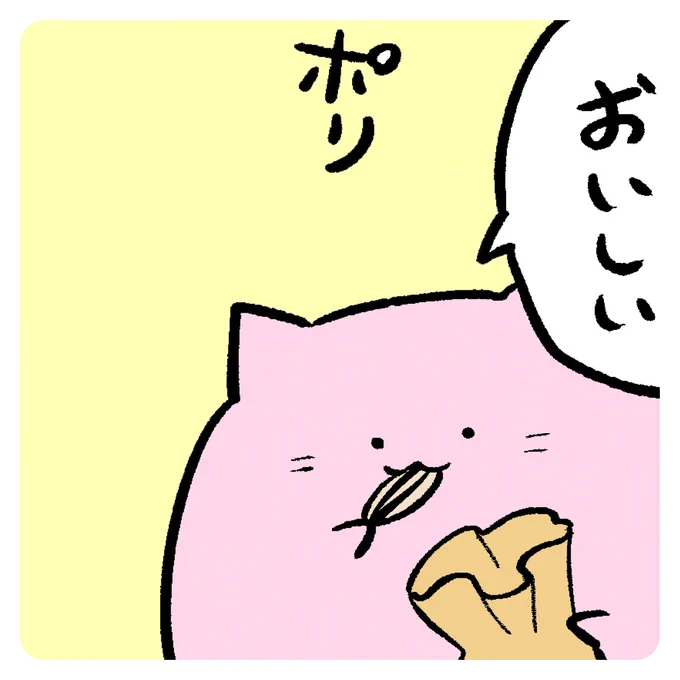 ポリ 