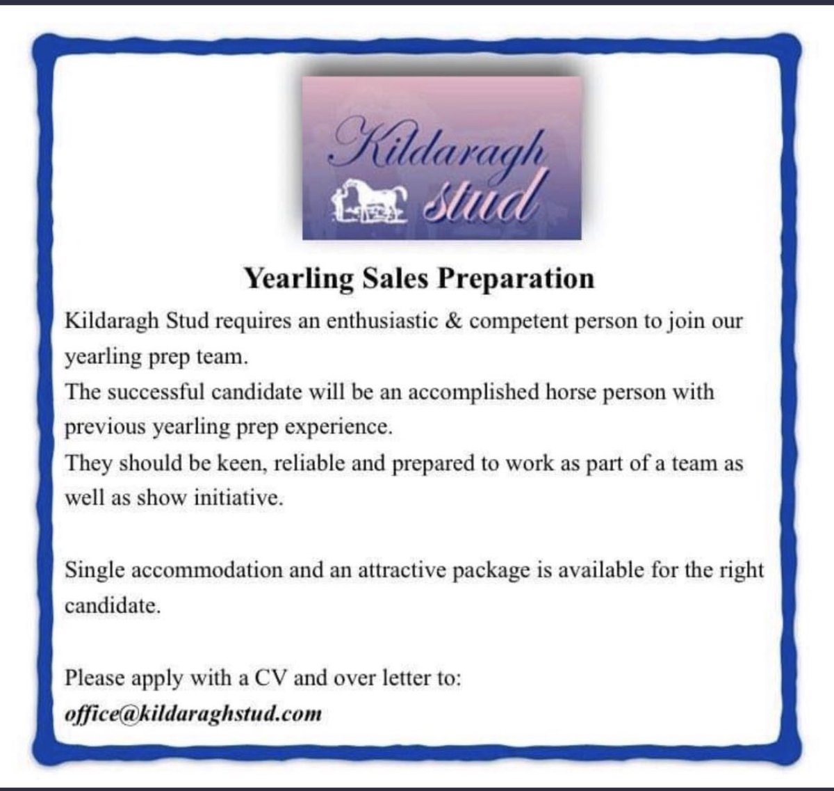 We’re on the lookout for hard working individuals, looking to gain invaluable experience and responsibility throughout the upcoming Yearling season. Please get in touch if you are interested or email: office@kildaraghstud.com