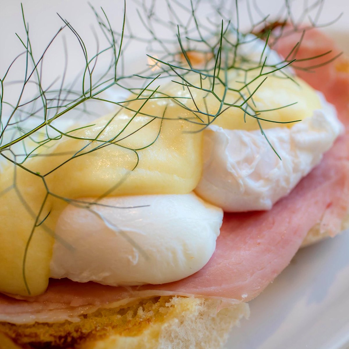 Walsh's Bakehouse (@walshsbakehouse) on Twitter photo A winning Waterford combination 🤝🏼
Blaa Eggs Benedict for breakfast in the iconic <a href="/GranvilleWford/">Granville Hotel</a>. Happy bank holiday Monday 🙌🏼 #WaterfordBlaa A winning Waterford combination 🤝🏼
Blaa Eggs Benedict for breakfast in the iconic <a href="/GranvilleWford/">Granville Hotel</a>. Happy bank holiday Monday 🙌🏼 #WaterfordBlaa
