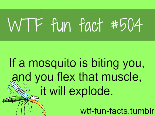 FunFacts0753's tweet photo. FUN FACT #17 https://t.co/zTXB9C9Ejt