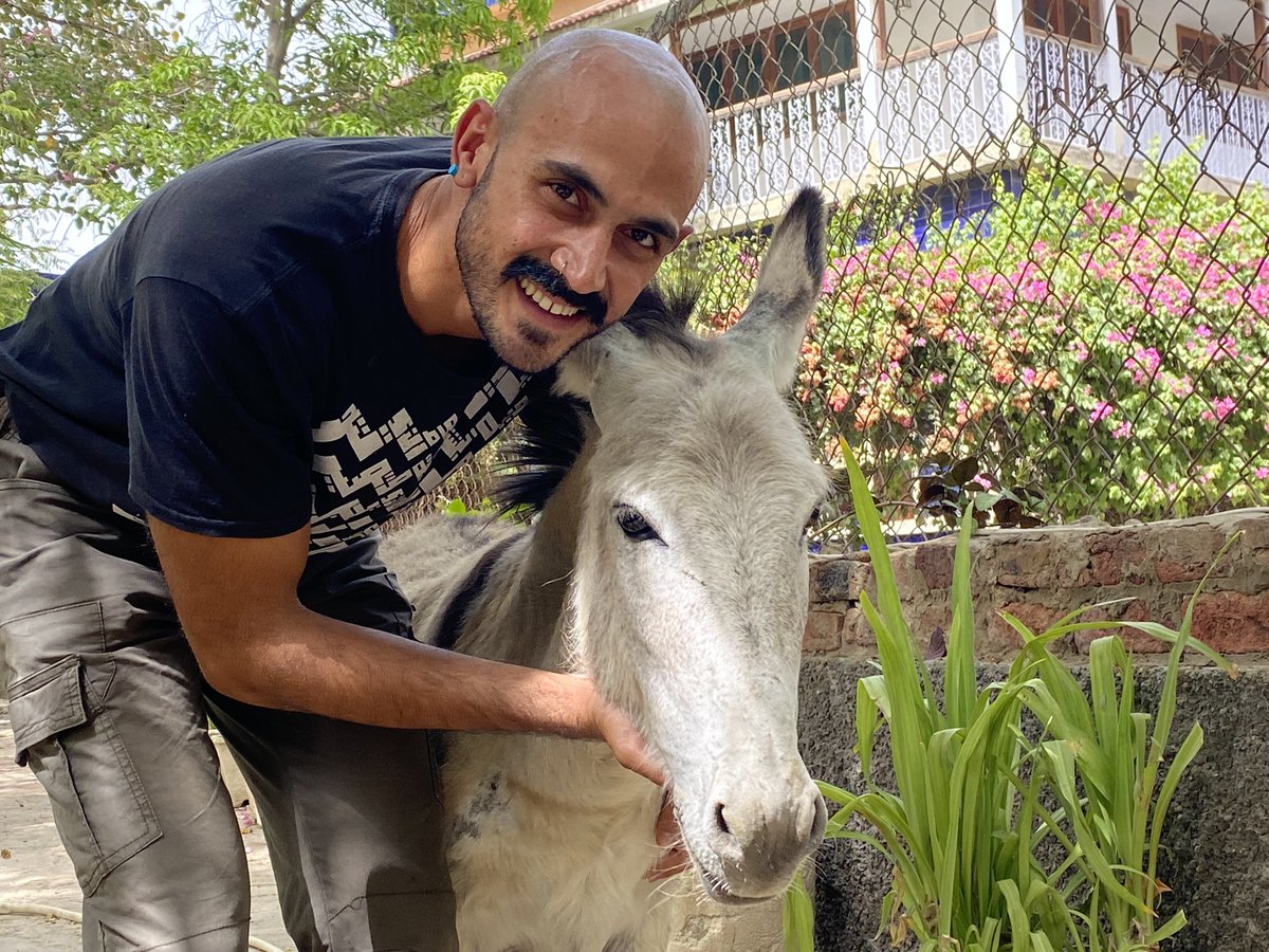 BhuttoZulfikar's tweet photo. This my donkey her name is Rani, we have grown up together and she’s as kind as can be and loves being pet. Treat your animals kind, their howls of pain reach the throne of our creator himself. #Ramzan2022 #donkey https://t.co/Zf9oqokrxJ