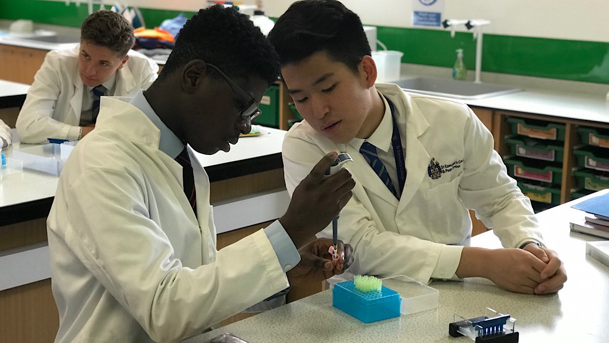 discoveringdna's tweet photo. @mrkingstsci @ConnectingSci @engageWCS @FutureLearn @OrigamiCells @edvotek All @edvotek kits &amp; equipment are available in the UK from us! https://t.co/nFFH6ecAfe https://t.co/6g1DEMcq2p