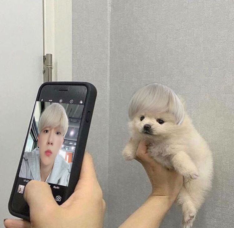 CBfiles614's tweet photo. who did this 🥲🥲😂😂 https://t.co/mnh9W6fipo