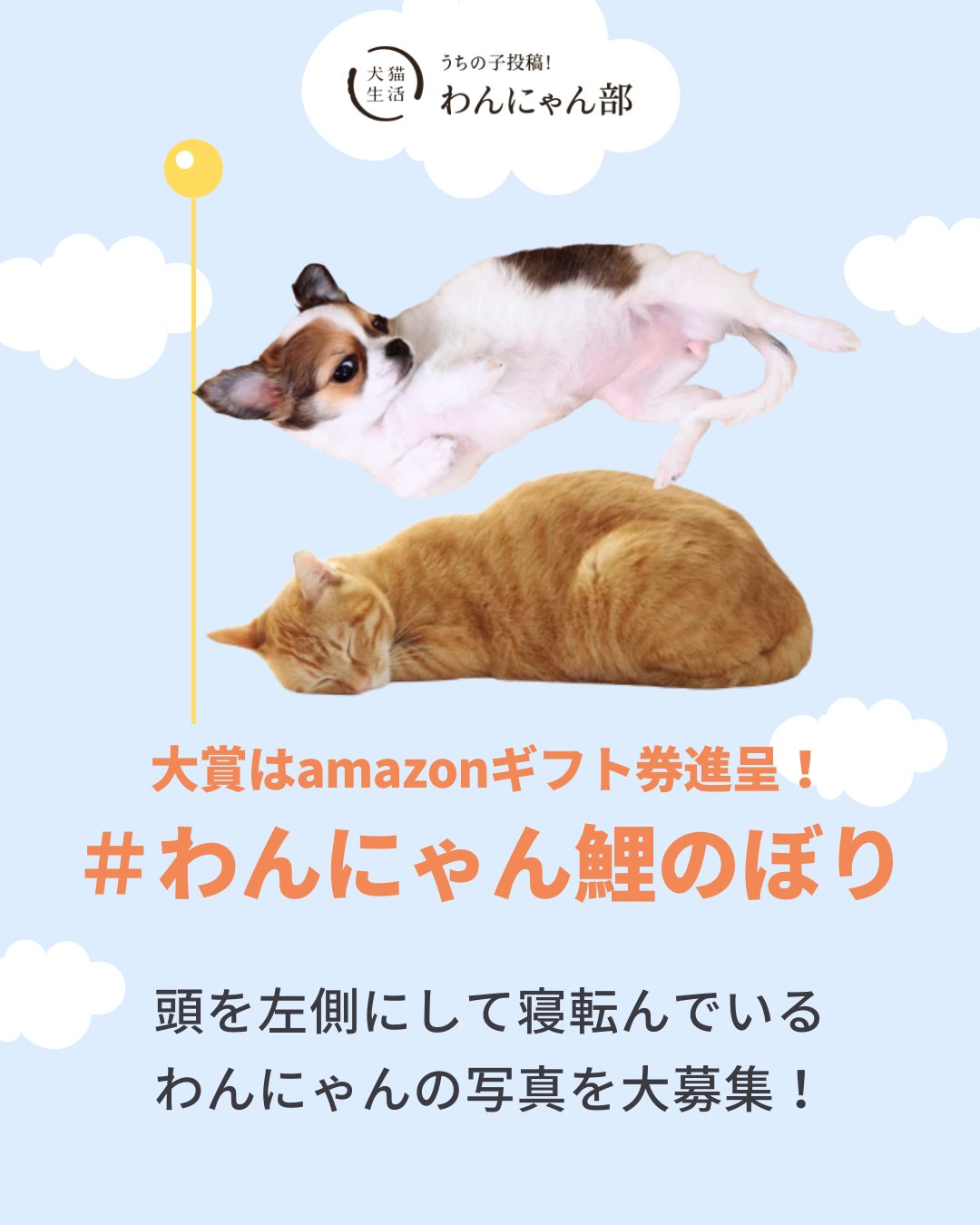 犬猫生活 保護財団へ12円 Lineお友だち数を寄付します 大賞はamazonギフト券1000円分進呈 5月といえば鯉のぼり ということで 頭を左側にして寝転んでいるわんにゃんの写真を大募集 下記2つのハッシュタグをつけてぜひご投稿ください 犬猫生活 保護財団へ12円 Lineお友だち数を寄付します 大賞はamazonギフト券1000円分進呈 5月といえば鯉のぼり ということで 頭を左側にして寝転んでいるわんにゃんの写真を大募集 下記2つのハッシュタグをつけてぜひご投稿ください