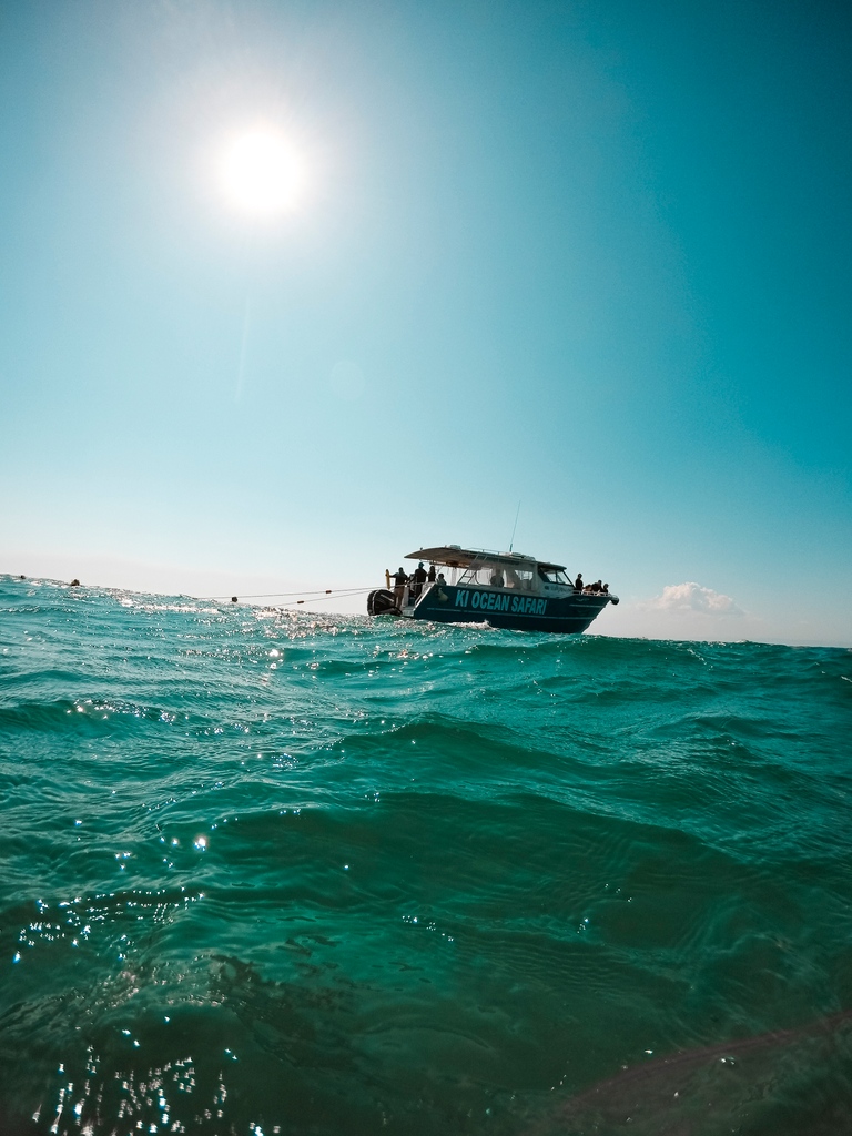 nathsway's tweet photo. Looking to swim with some dolphins while in @southaustralia? 😍 Board a convenient boat tour at Christmas Cove Marina and set off for the chance to swim with seals and dolphins along Kangaroo Island!
-
#southaustralia #kangarooisland #kioceansafari https://t.co/IrU8ssHCXj