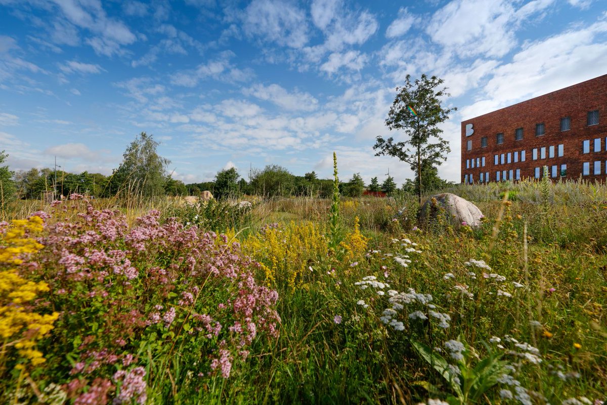 Bernhoven tweet media