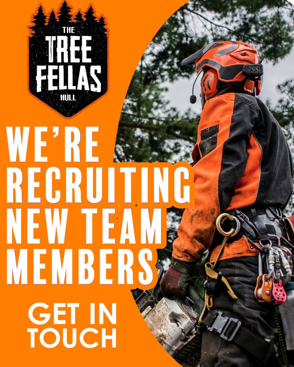 The Tree Fellas Hull Ltd tweet media