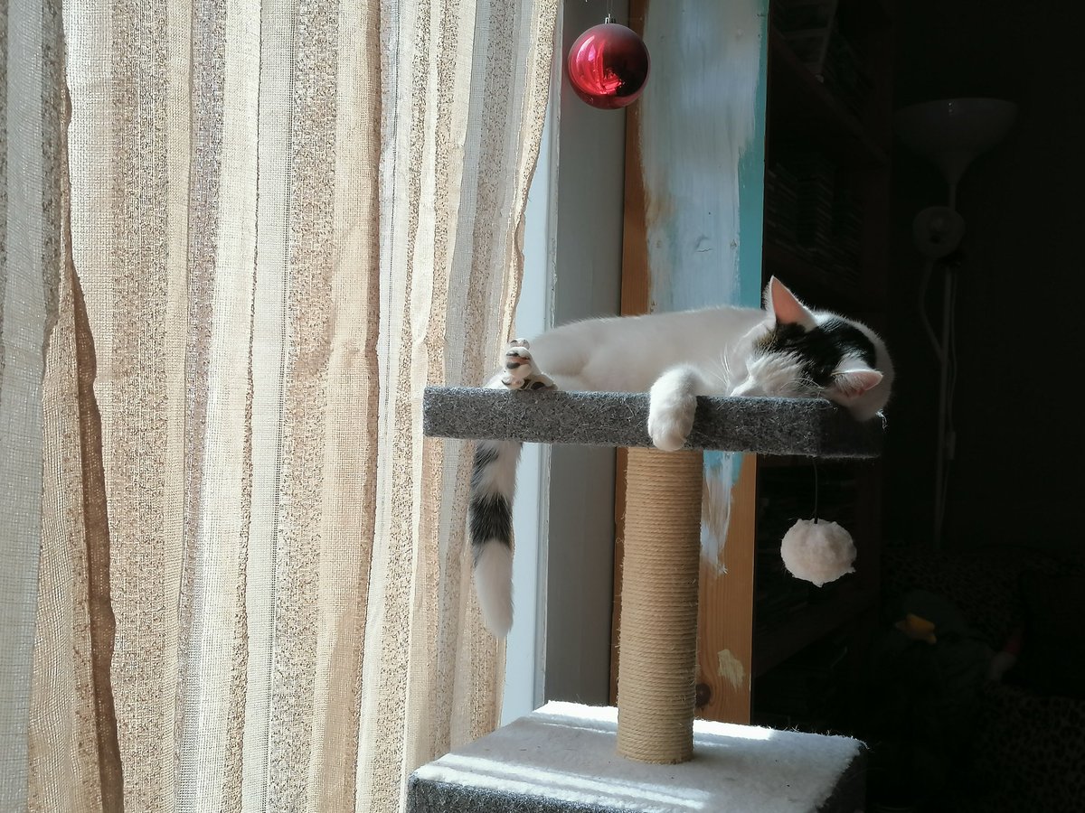 SchnappsChatPop's tweet photo. I could be doing the same as Toby this Bank Holiday, but no I am live from 12 to entertain* you.

@NovaradioNE

*usual legal disclaimer, play tunes and talk rubbish.❤️ https://t.co/tYHA4KahzT