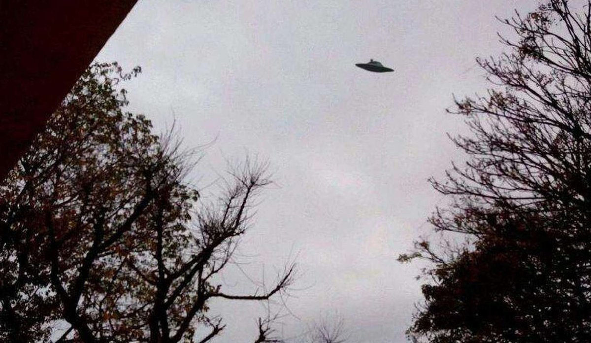 🛸👽#Ufología | #LaPlata 

Ufología en la ciudad: “Los platenses son muy escépticos”

El investigador Nicolás Colombo apuntó los avistamientos más emblemáticos de la región y sus ufólogos más célebres.

diariohoy.net/interes-genera…
