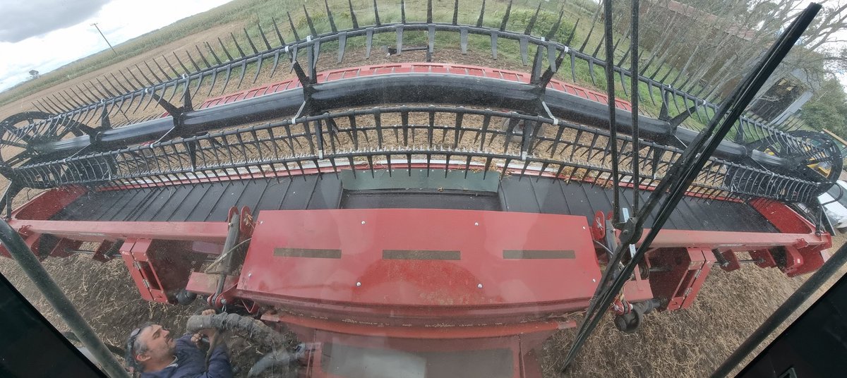 NicoBronzo's tweet photo. Chiche nuevo... mas horas de cosecha,  menos pérdidas... #sepagasolo
#LoQueEsModaNoIncomoda
#FlexDraper 
#Tecnicolon 
#campo 🇦🇷🇦🇷🇦🇷 https://t.co/CILmxsgrXI