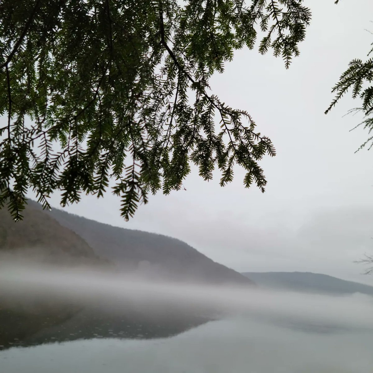 BronxNaturalist's tweet photo. Good morning Nature Enthusiasts, this past week @arriana_photography  and I  took a little vacation to enjoy Nature with @darthtobias_and_ahsoka at the @getawayhouse.  It's a perfect getaway from the everyday hustle with several Nature hikes short drives away. https://t.co/xHkGcuMVXw