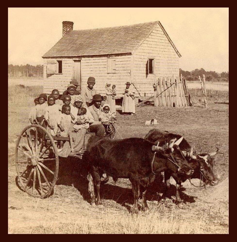 A family in Southern Mississippi, 1895

PUBLISHER
Strohmeyer &amp; Wyman
