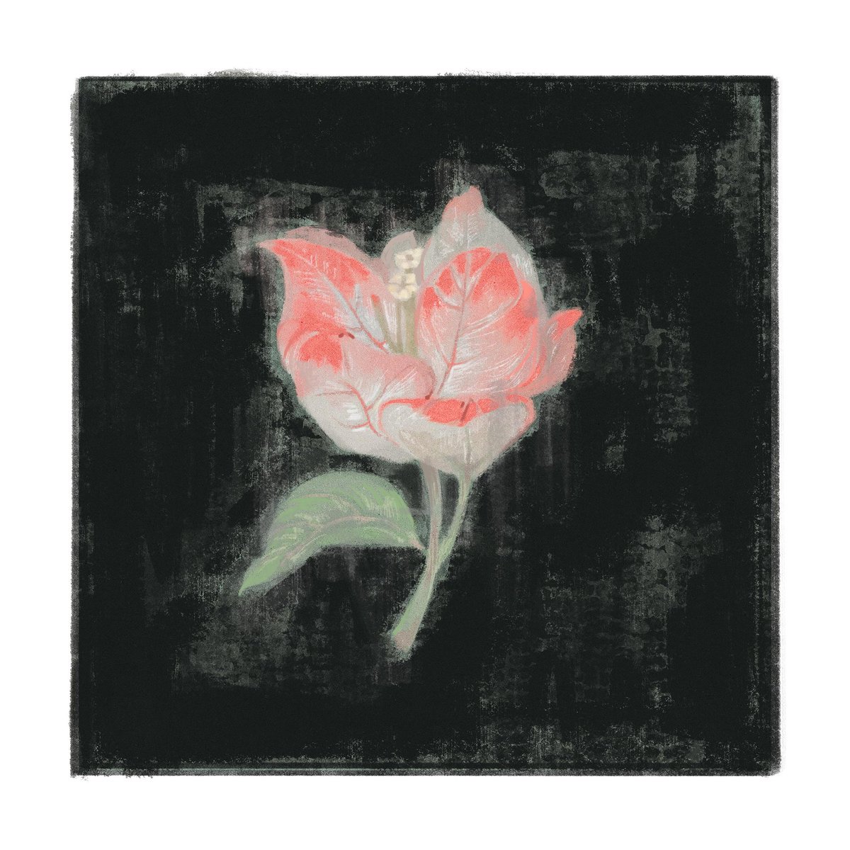 Shanxi (@shanxi97) on Twitter photo 