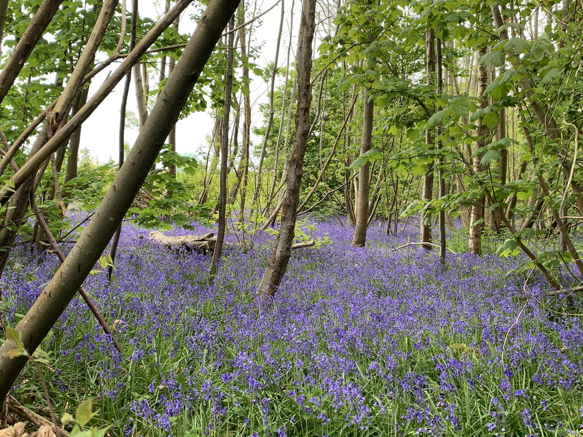 Create Exec Coaching tweet media