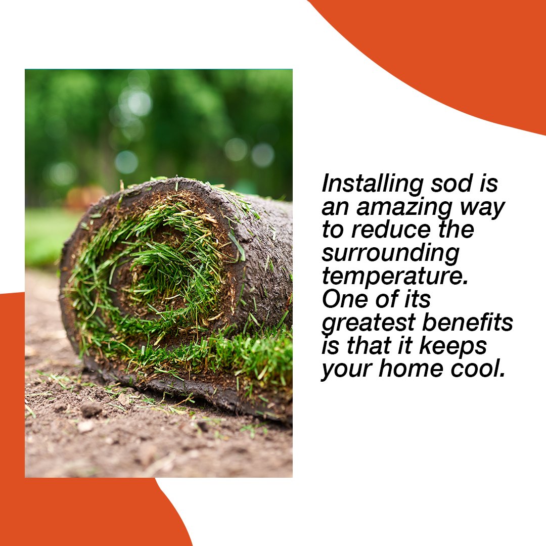 PactUrbane's tweet photo. Yes, SOD does not just improve your lawn looks, but plays an essential role in keeping the area cool. This makes it one of the biggest reasons for the huge demand of SOD installation. 
.
#cleaningservices #slotbooking #spring #instalawns #showusyourstripes #lawnislife #lawnporn https://t.co/hXiERvCqVK