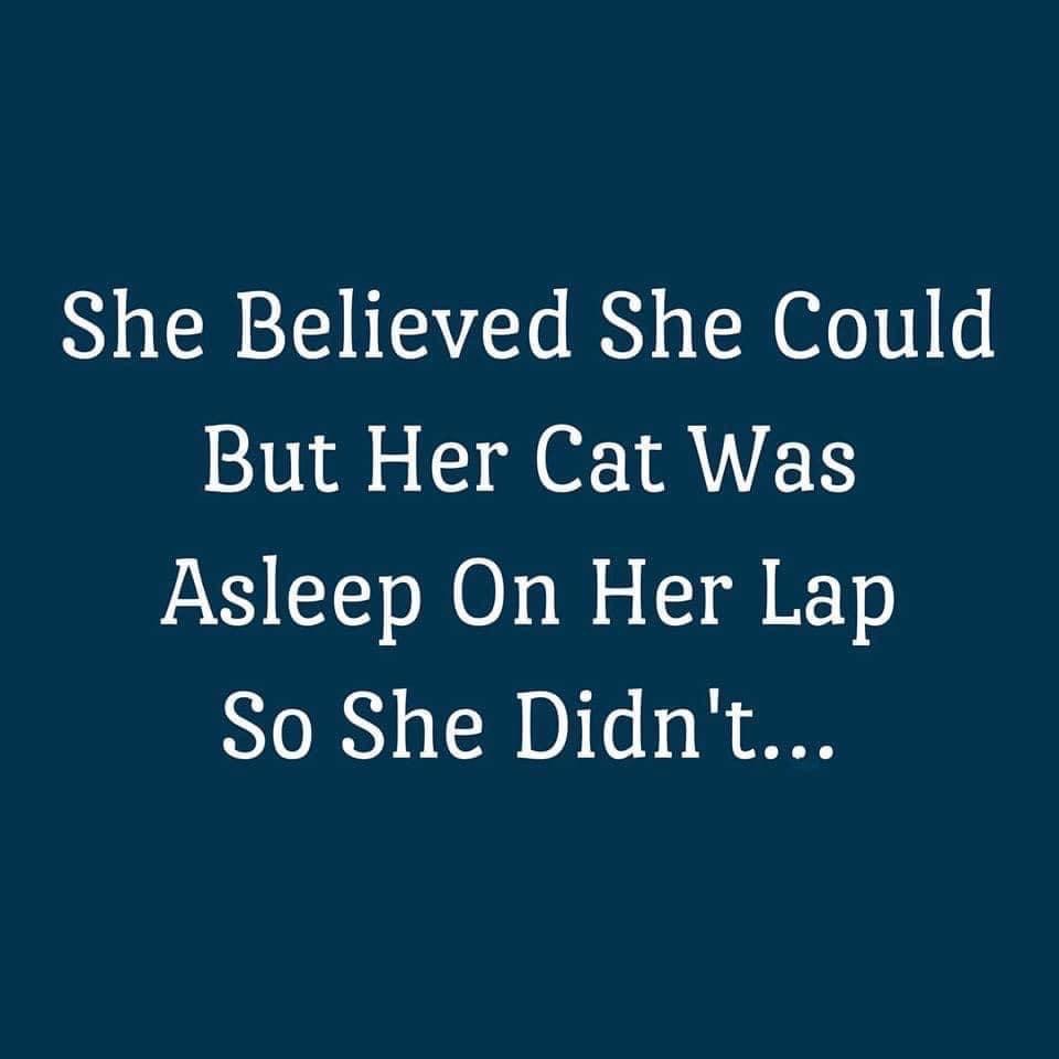 "Sorry I can't make it I have plans..."