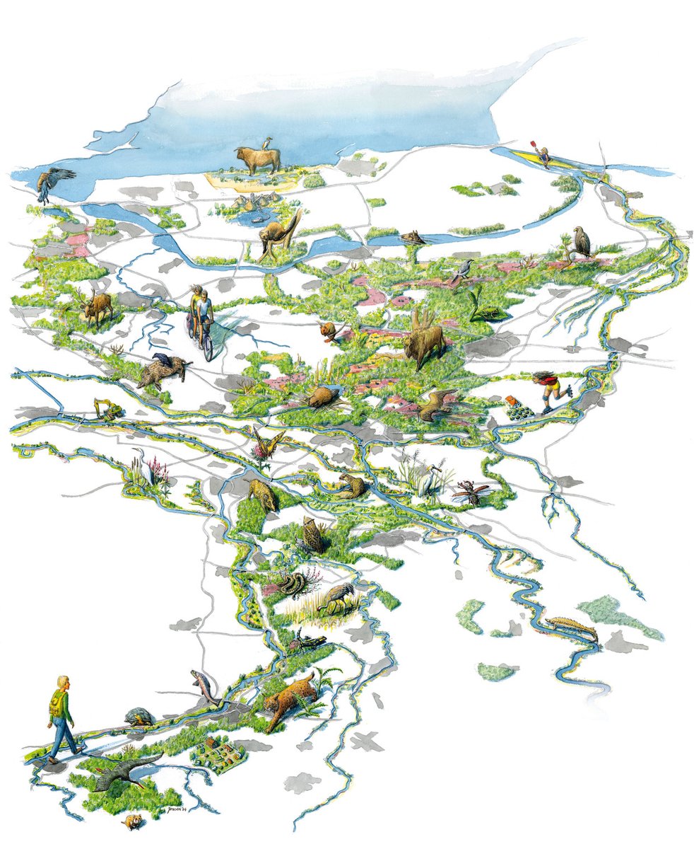 ARK Rewilding Nederland naar Bluesky tweet media