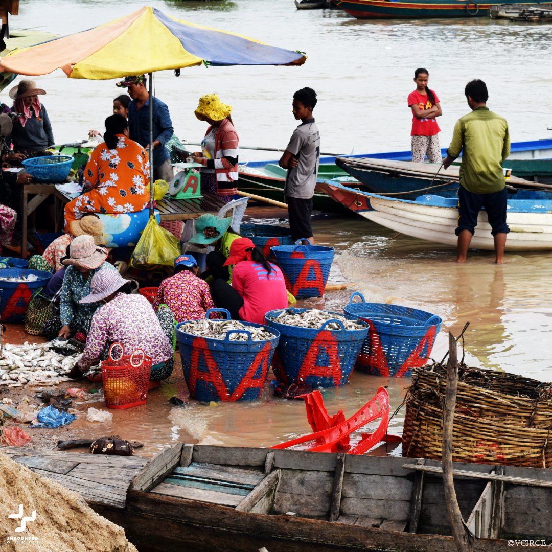 🐟 About 80% of Cambodia's population depends on freshwater fish for their diet and livelihood. In #Cambodia, the Tonle Sap Lake, which connects to the Mekong river, has been known as one of the world's most productive freshwater fisheries! #Health #nature #Sustainability