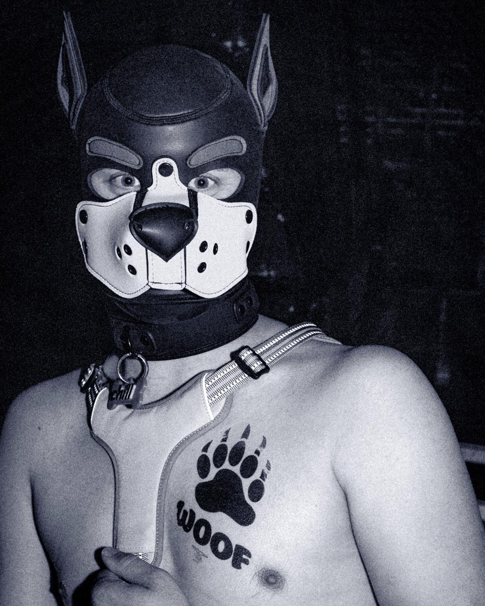 🐶🐶🐶📸 <a href="/ManiFestCph/">ManiFest | Fetish Club Copenhagen</a>