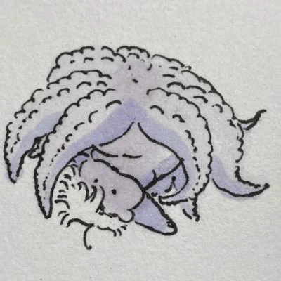 #新しいプロフィール画像 