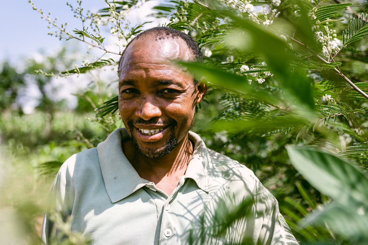 Treesftf's tweet photo. A food secure future needs healthy forests! 🌳

Through the #ForestGardenApproach, we train farmers to replicate the natural ecosystems of forests for #foodsecurity. That’s the power of #agroforestry!

#WFCKorea #LetsGetPlanting https://t.co/gjtHcA0z3q