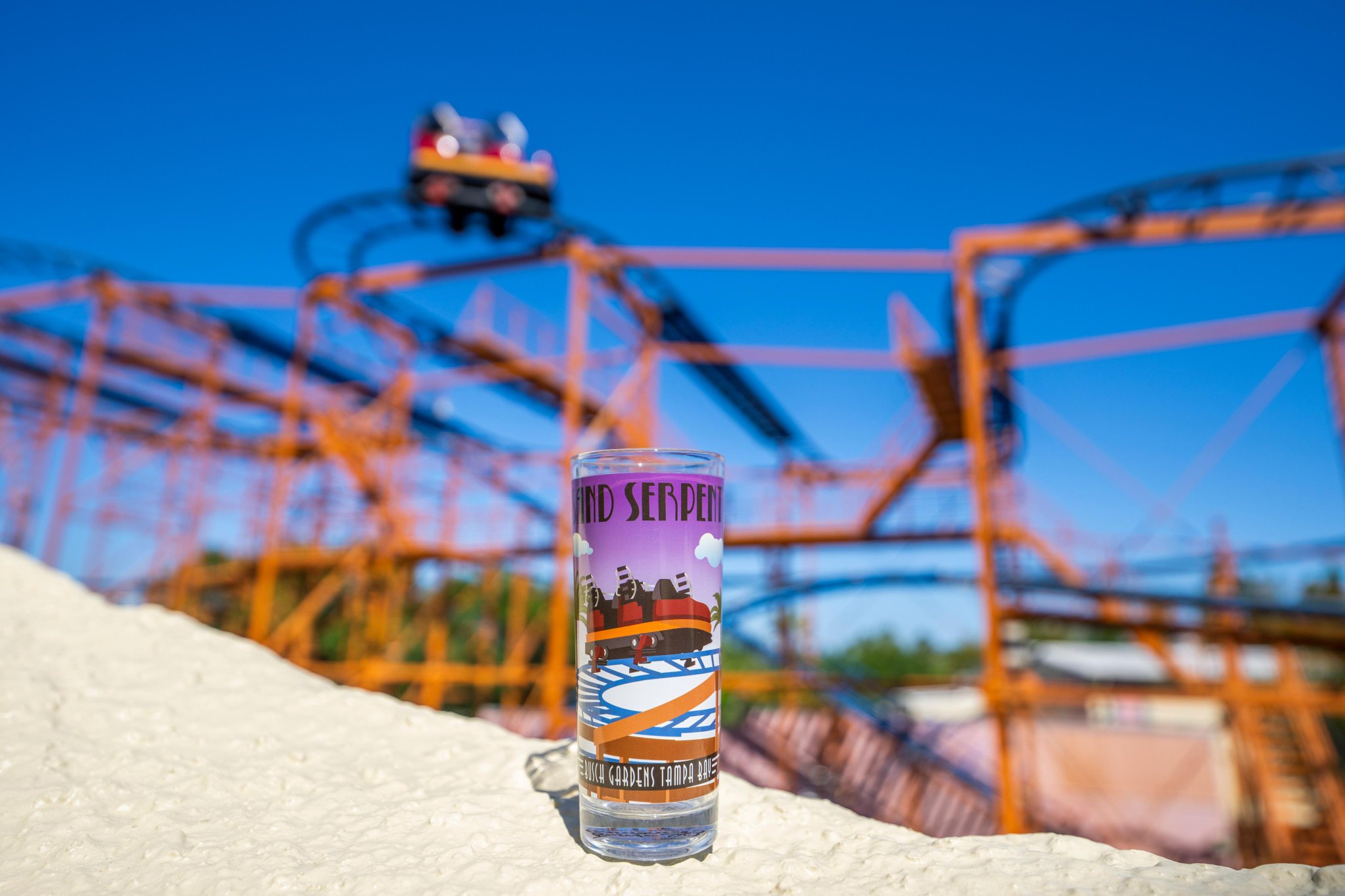 Busch Gardens Tampa Bay on Twitter: "Busch Bucks, anyone? From now