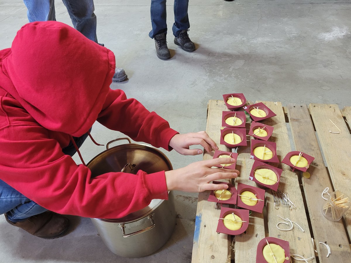 Mite Away Quick Strips NOD Apiary Products