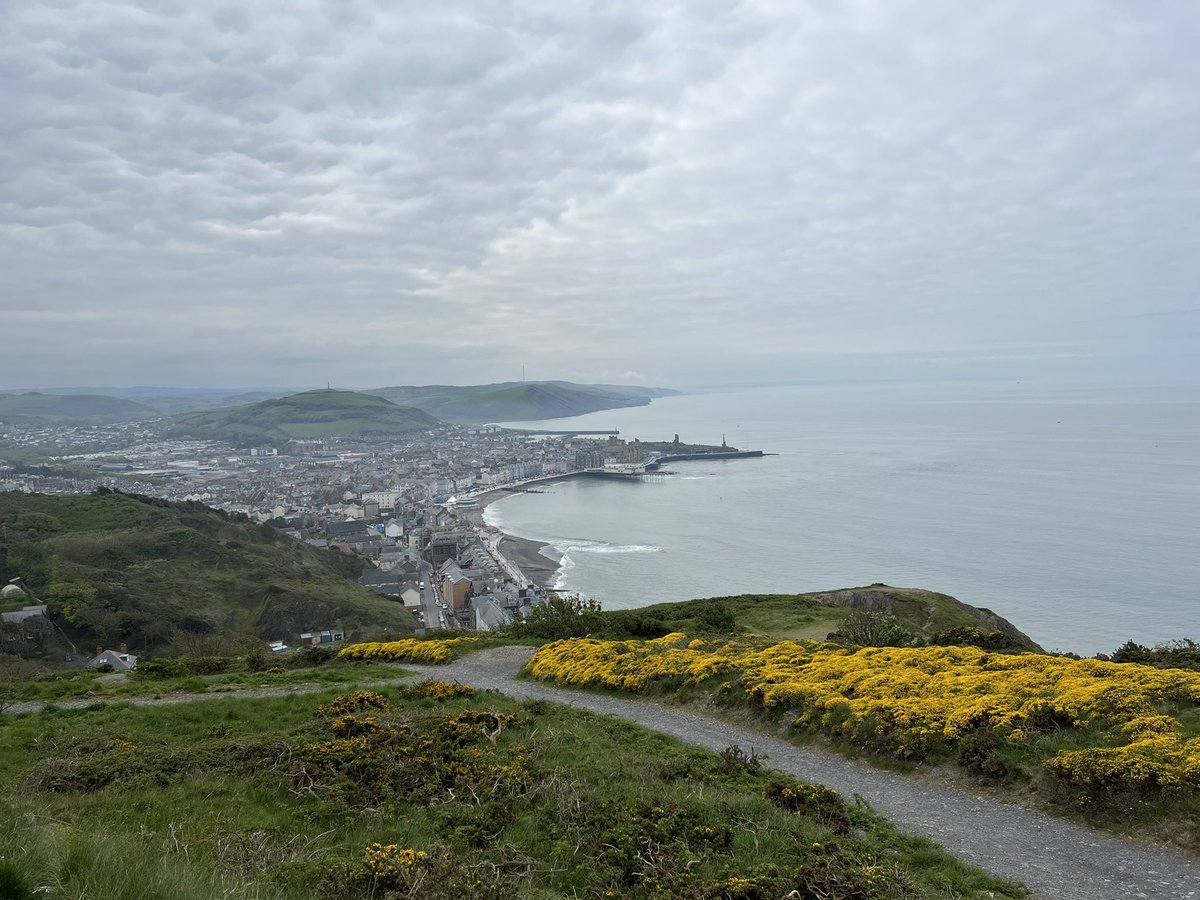 heulwen ann davies tweet media